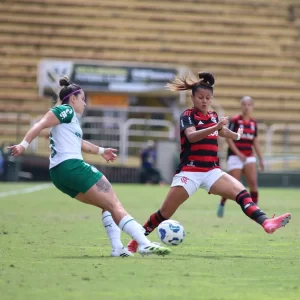 Flamengo feminino