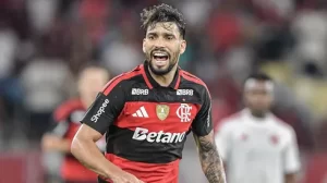 Paqueta 11