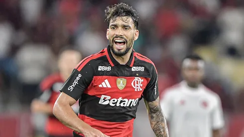 Paqueta 11