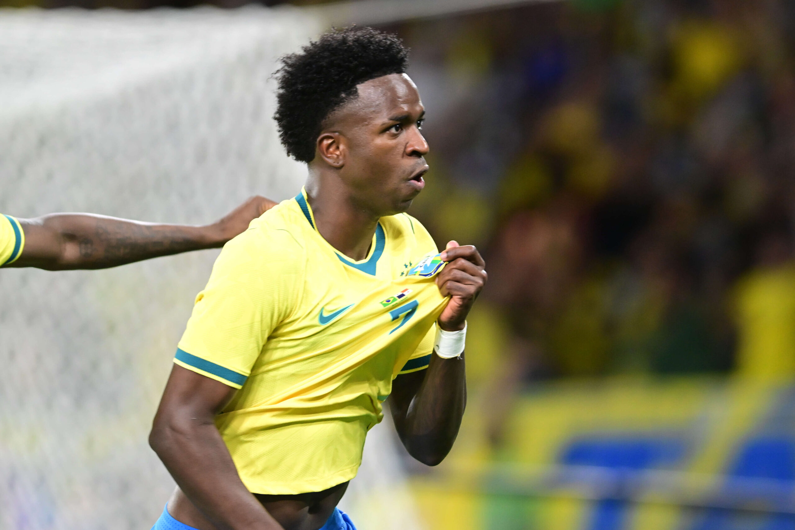 Vini Brasil
